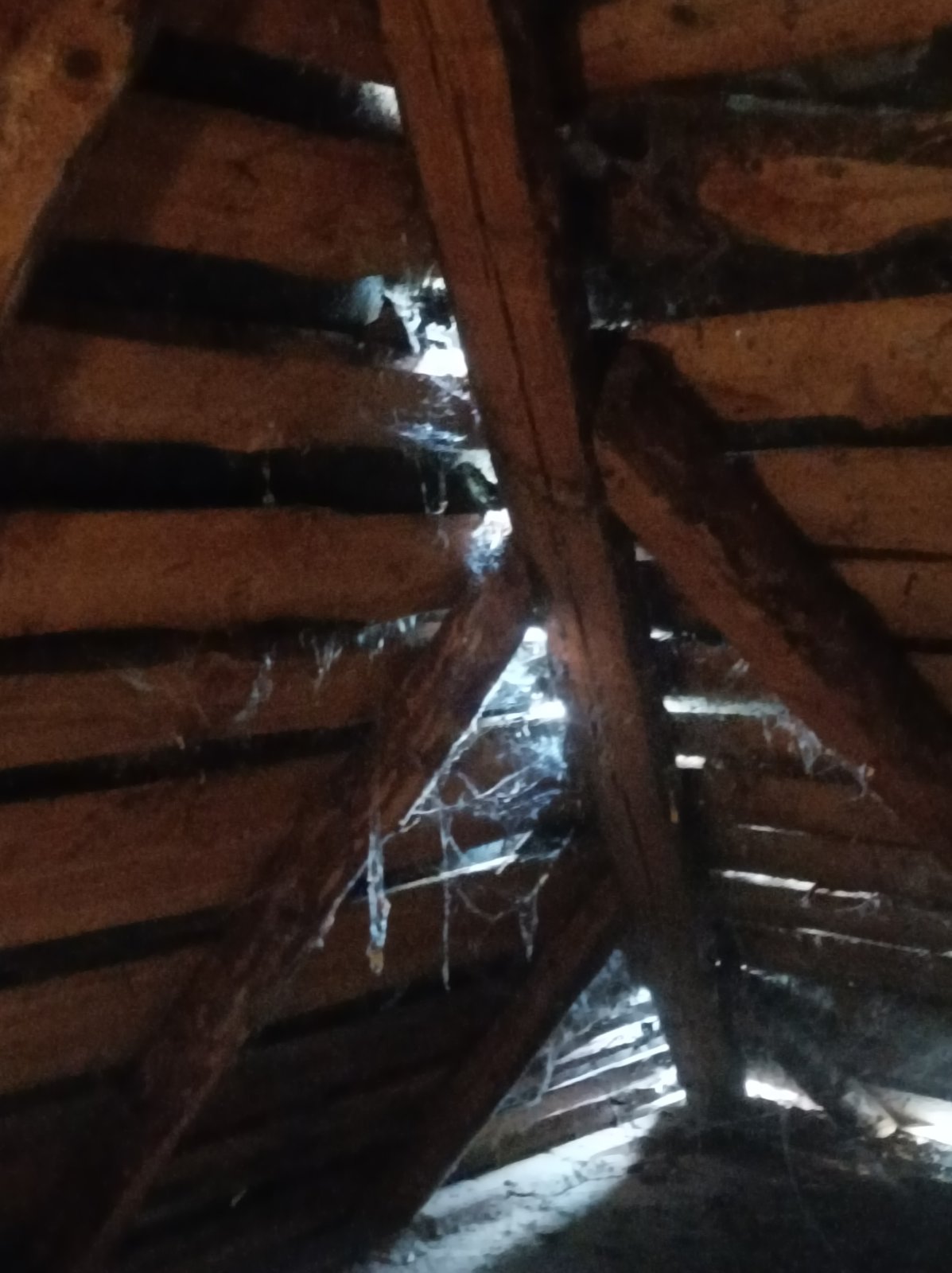 Жінка з двома дітьми та племінником мешкають в будинку з пошкодженим  дахом