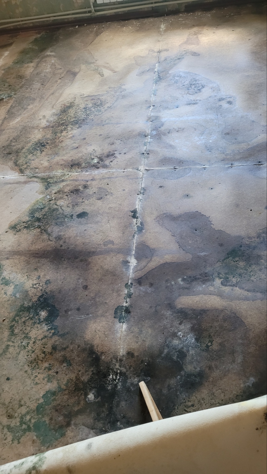 Окупанти зруйнували та розграбували будинок родини з Ізюму