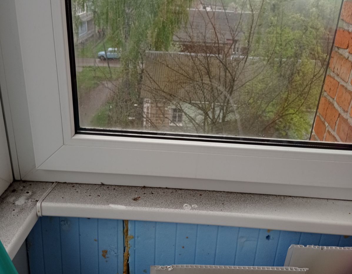 Пошкоджено вікна у квартирі родини з неповнолітньою дитиною