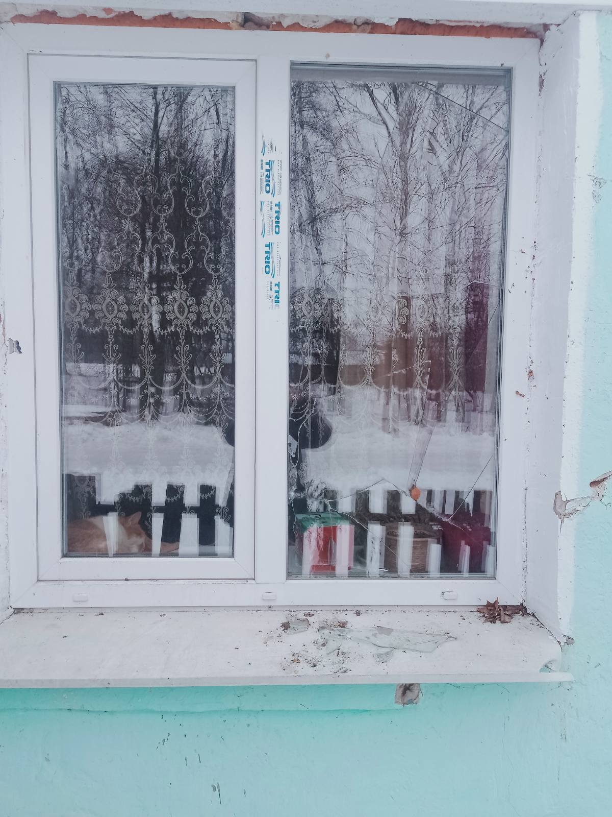 Родині зі Зноб-Новгородського потрібна допомога в ремонті житла