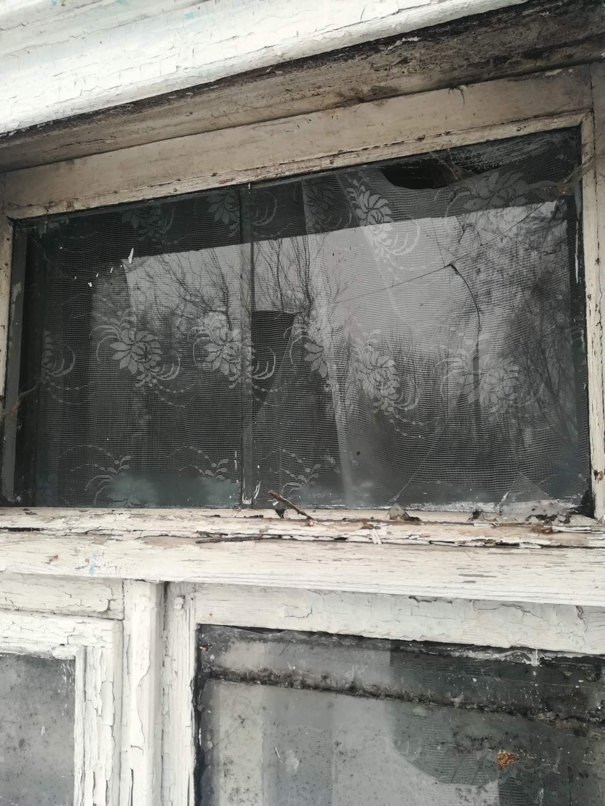 Родина з Сумщини потребує допомоги у відновленні будинку