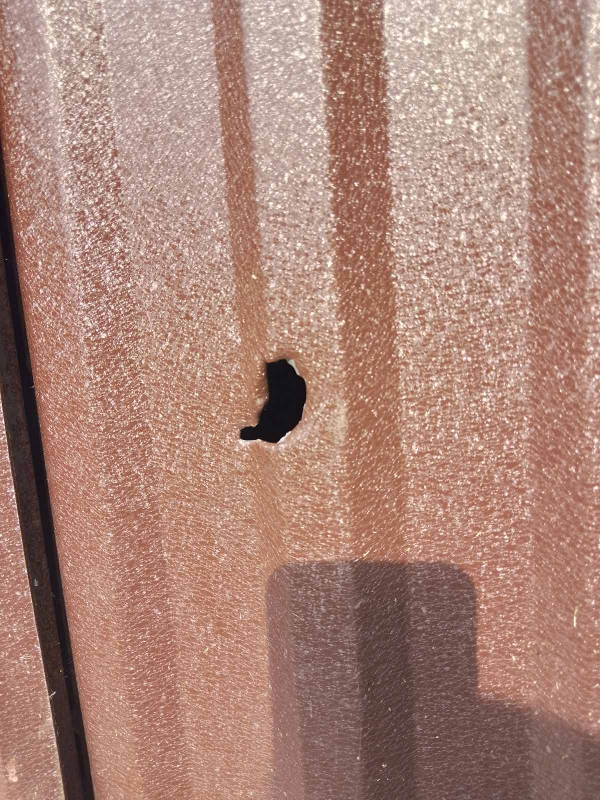 Прикордонне село Стара Гута постійно під обстрілами, але родина мріє повернутися додому