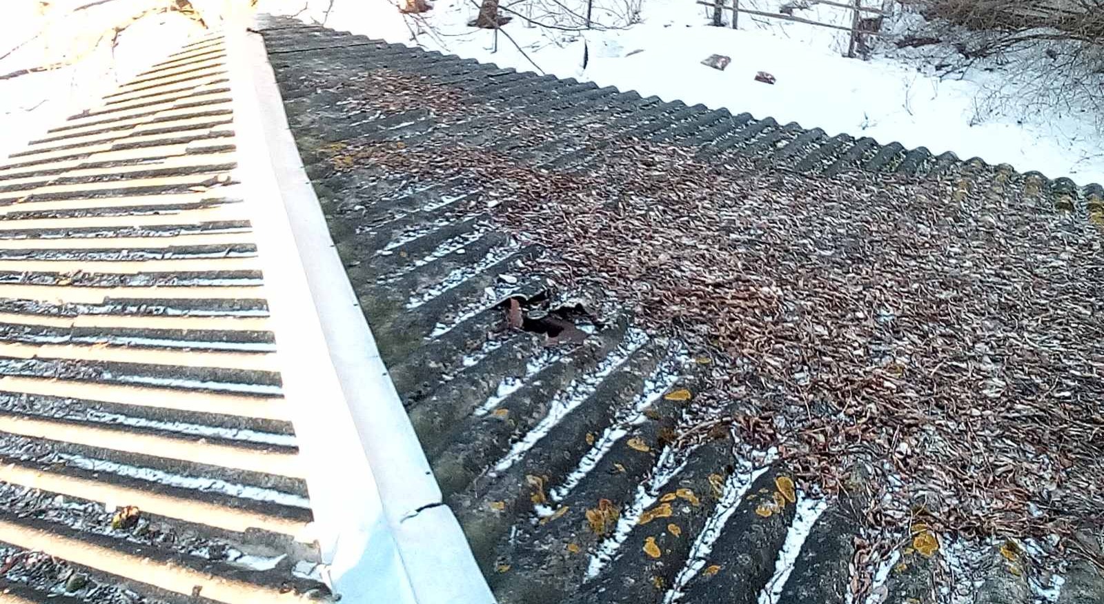 Майстер лісу з Середино-Буди просить допомоги