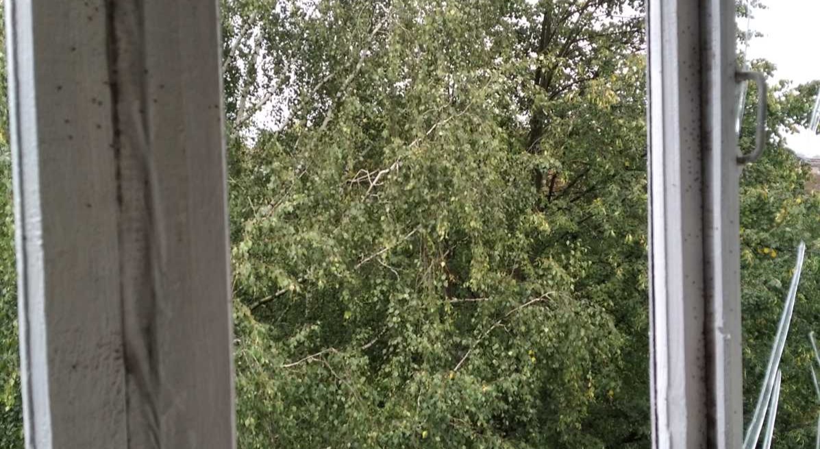 77-річна пенсіонерка із Середино-Буди залишилася без вікон