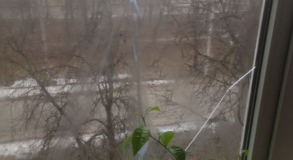 Восени подружжя пенсіонерів замінили вікна у квартирі, як ворожі обстріли знову завдали шкоди