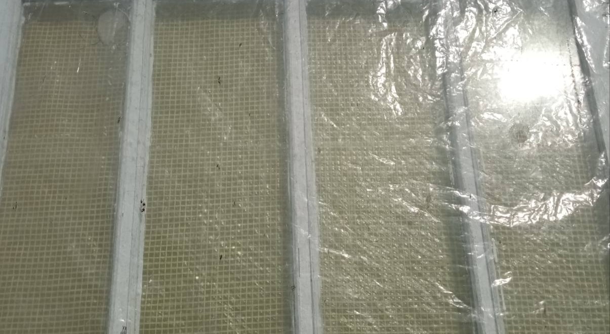 У будинку з вибитими вікнами живе бабуся із Середино-Буди