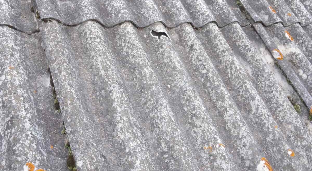 Пошкоджено будинок пенсіонерки з І групою інвалідності