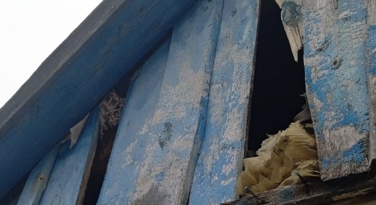 У будинку подружньої пари із села Локня пошкоджено вікна та дах