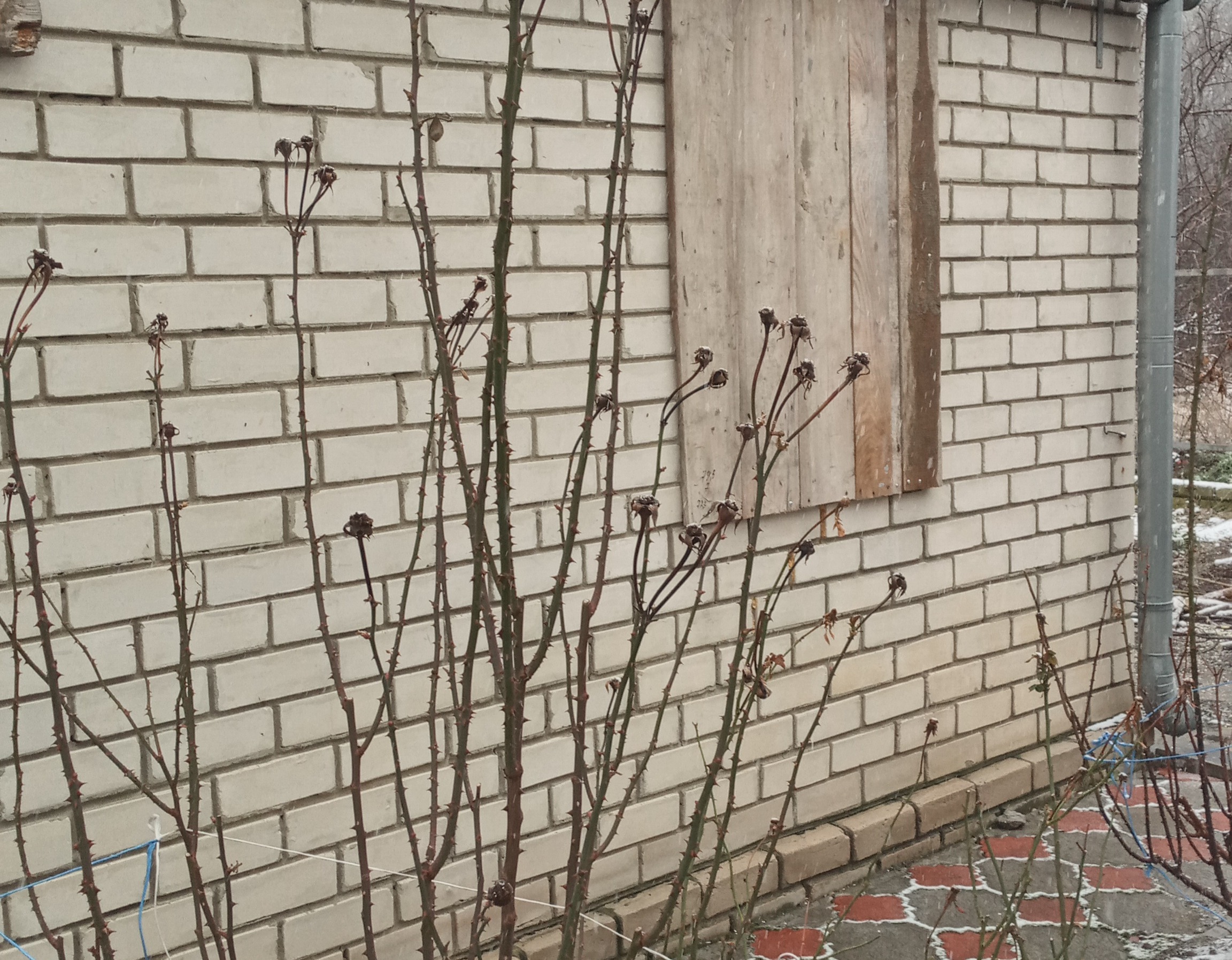 Жінка з міста Ізюм просить допомоги у відновленні пошкоджених вікон в будинку