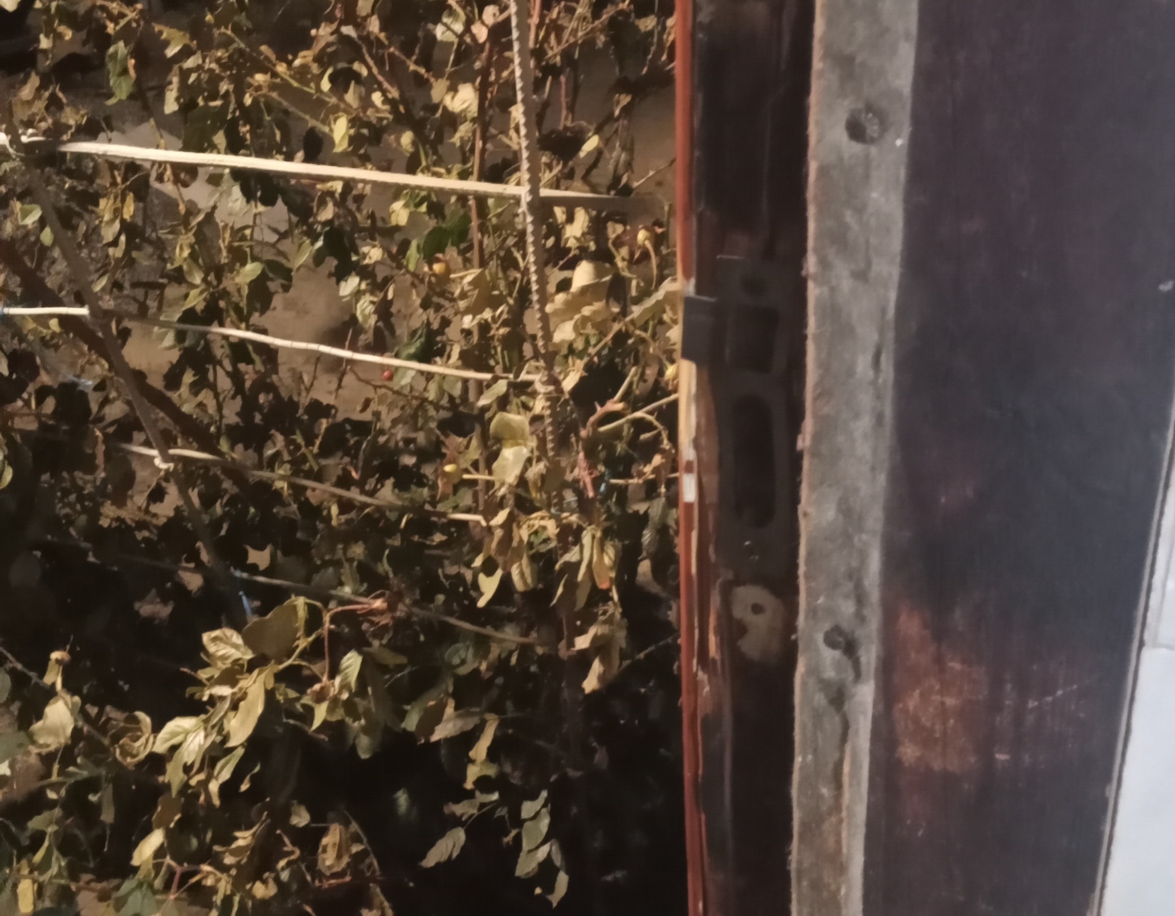 Жінка з міста Ізюм просить допомоги у відновленні пошкоджених вікон в будинку