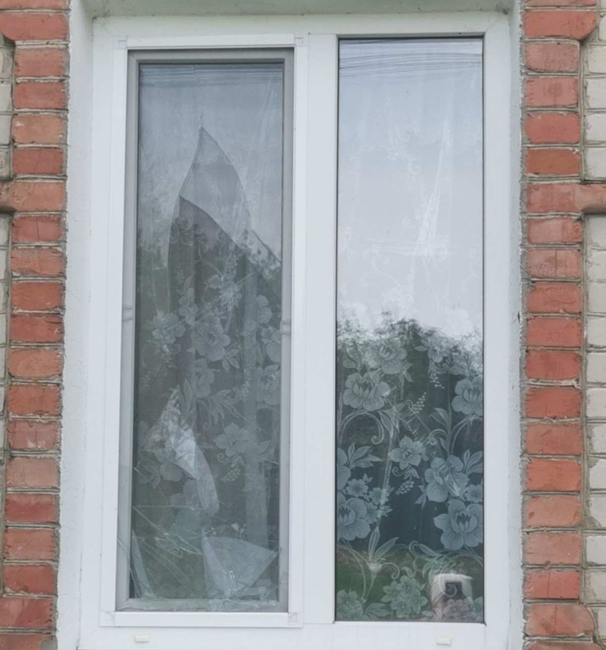 Літня жінка з села Басівка Сумської області потребує допомоги. 