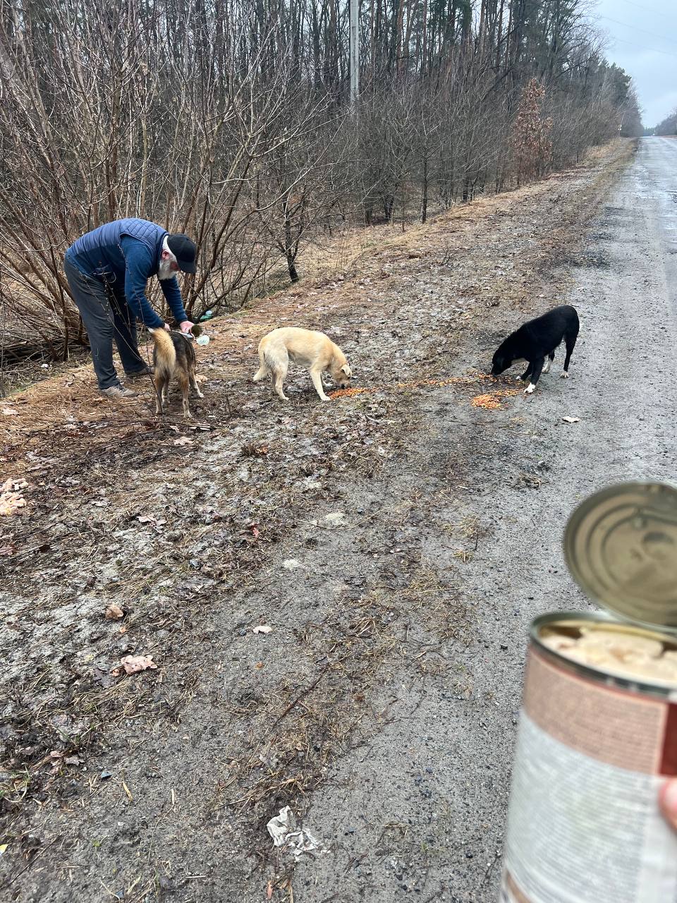 Ми відкриваємо збір на машину для евакуації та порятунку тварин