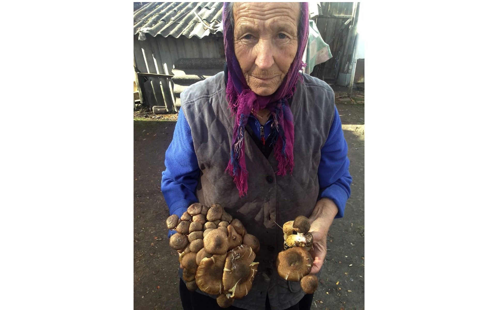 Пенсіонерку із Сумщини було поранено під час обстрілу її будинку