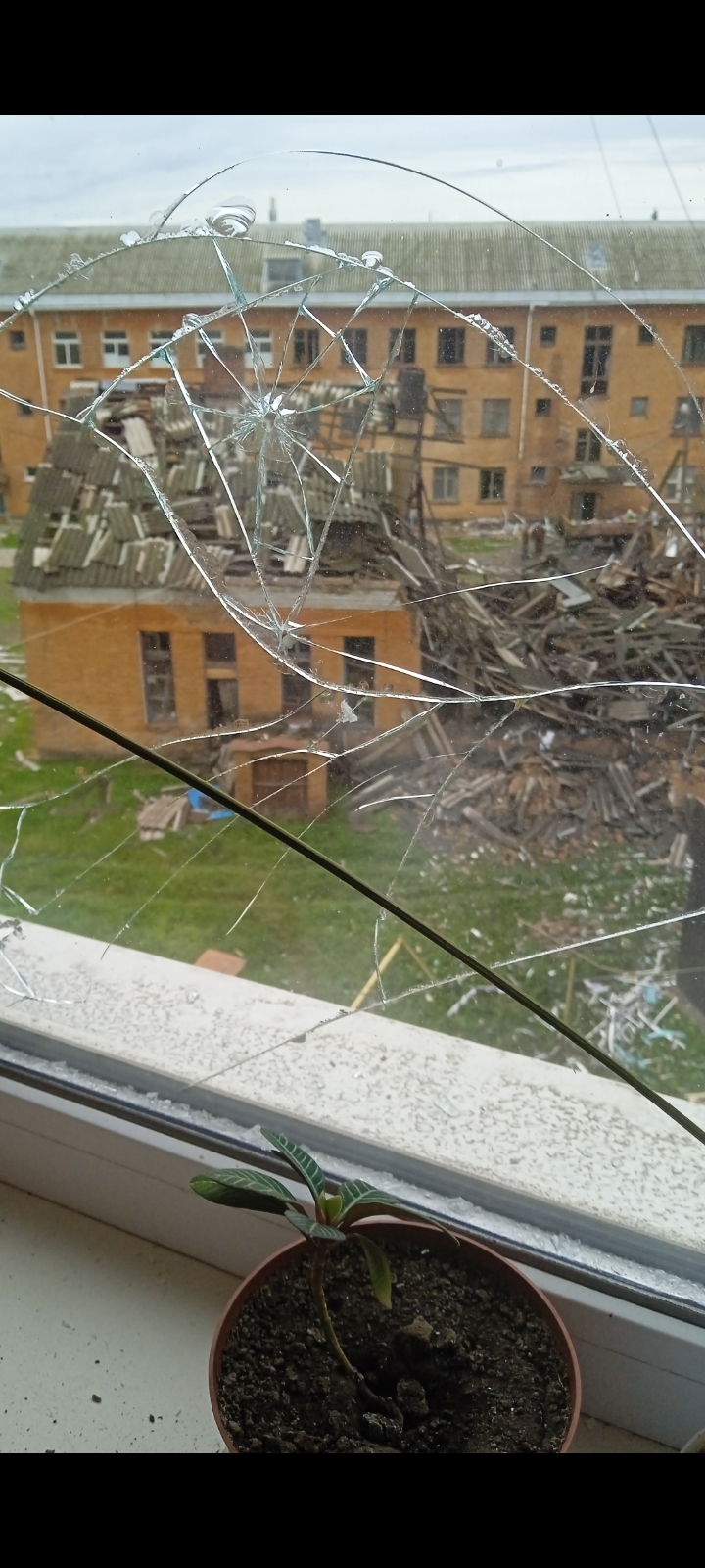 Жінка з дитиною з Білопілля просить допомоги у заміні вікна 