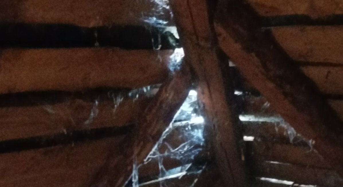 Жінка з двома дітьми та племінником мешкають в будинку з пошкодженим  дахом