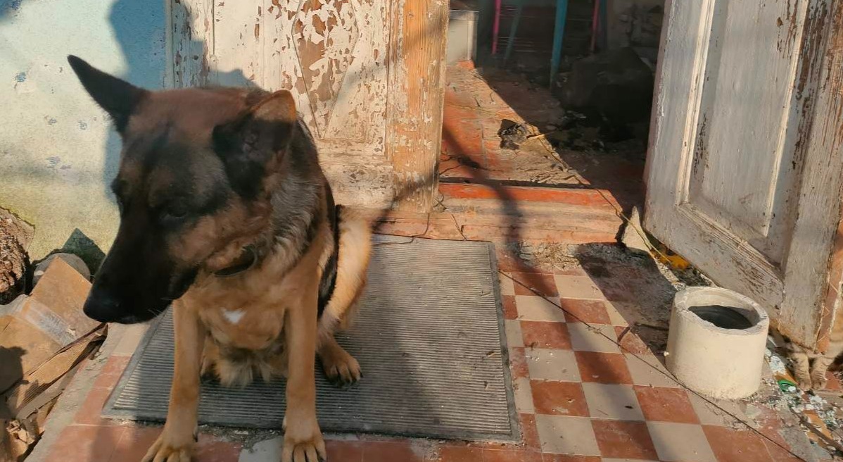 Через війну багатодітна родина з Херсону залишилась без батька та дому