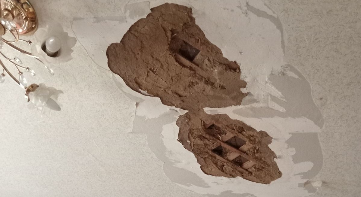 Родина з Харківщини залишилась у побитому холодному будинку та потребує допомоги