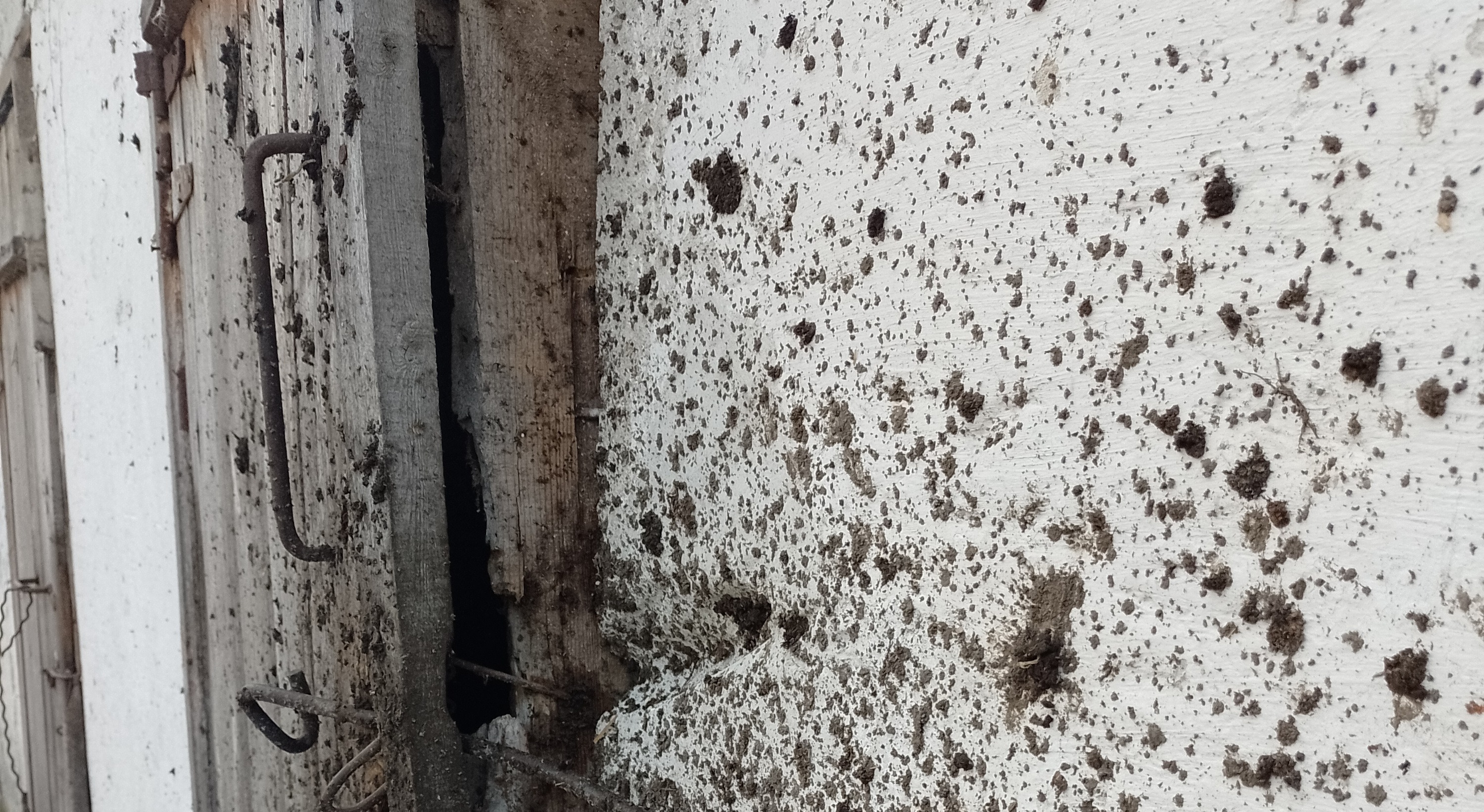 Родина з прикордоння Сумщини просить допомоги