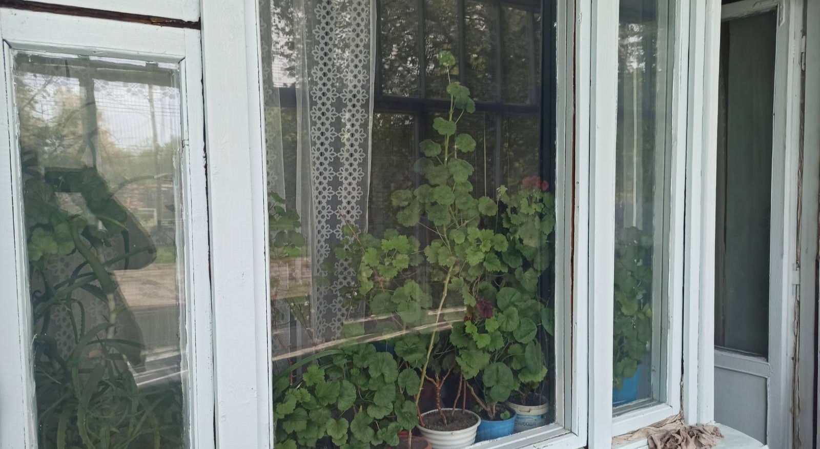 Квартира самотньої бабусі з Сумщини двічі потрапляла під обстріл