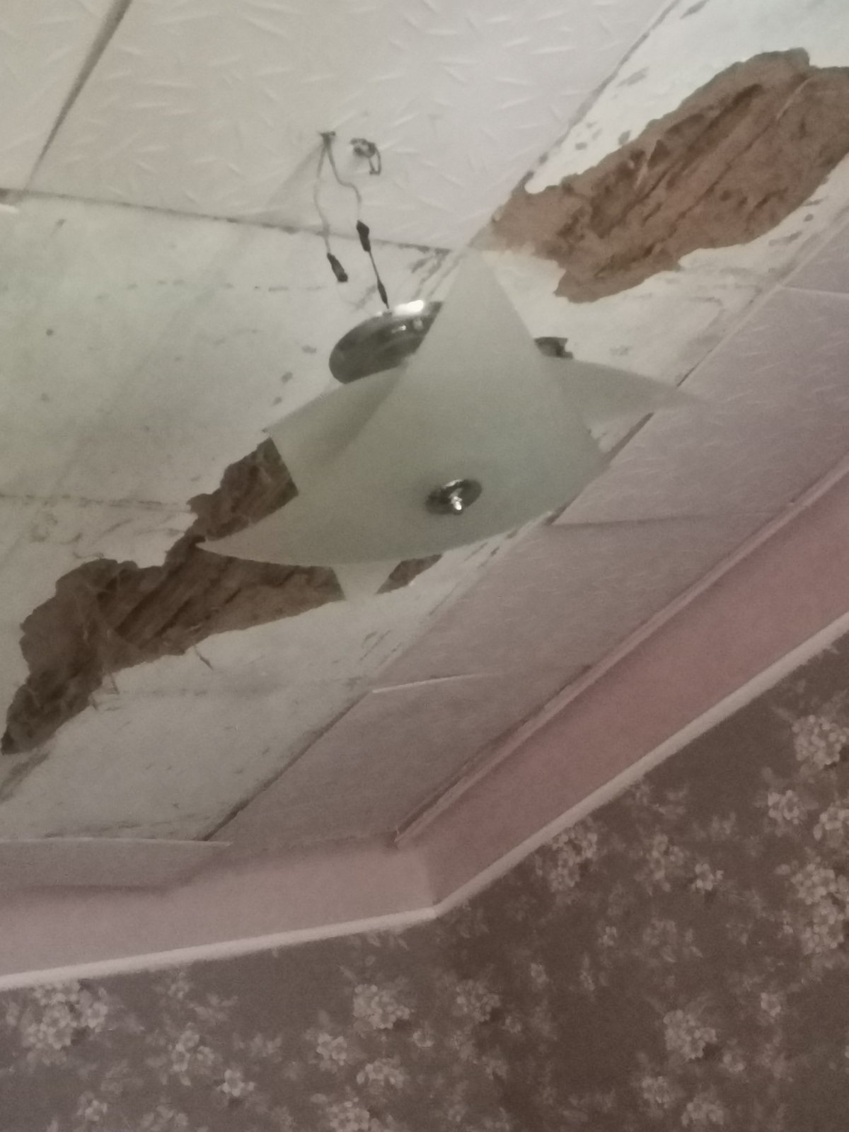 Пенсіонерка з Ізюму хоче повернутися на рідну землю