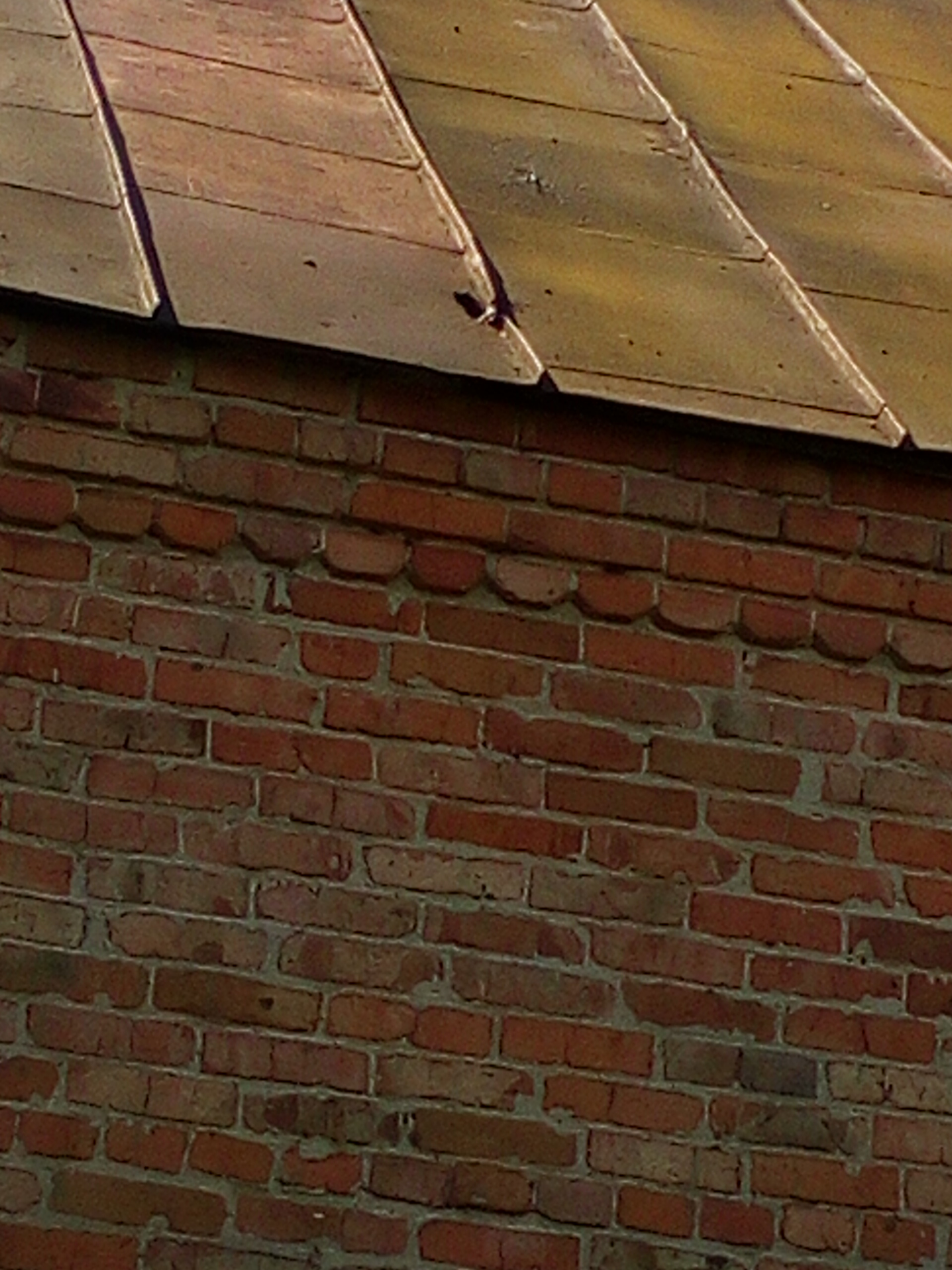 Жителька Білопілля потребує допомоги у відновленні будинку 