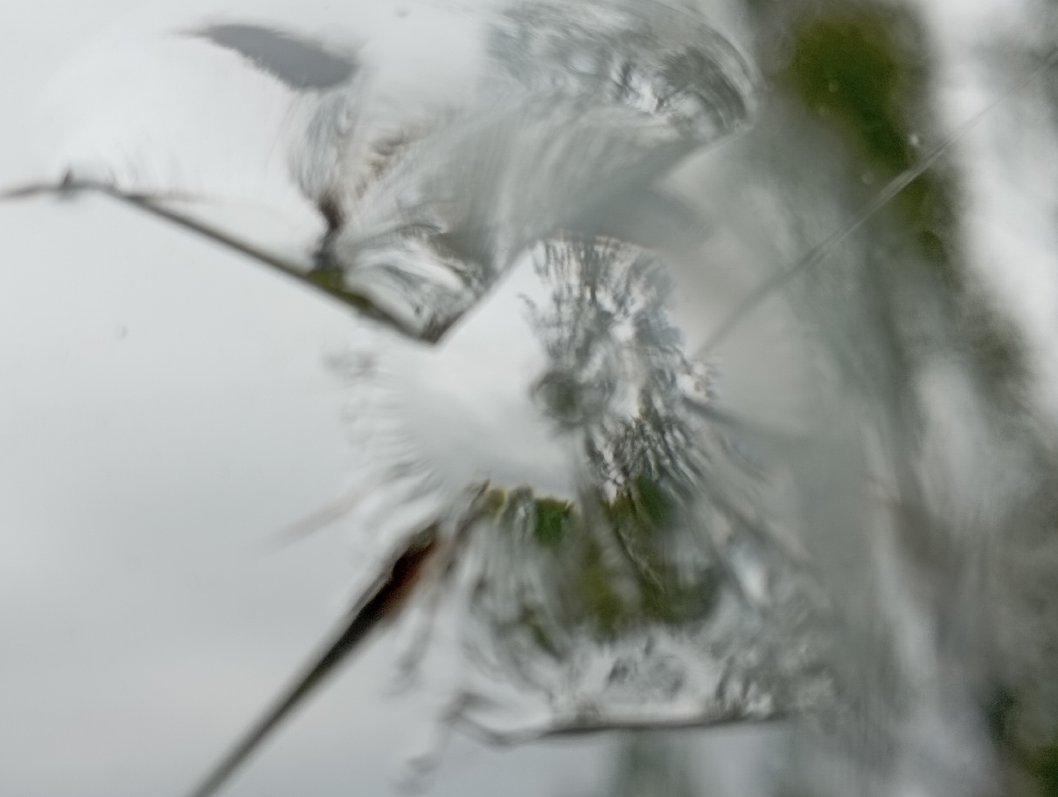 Пошкоджено будинок сім'ї,в якій двоє людей мають інвалідність - родині з Середина-Буди потрібна допомога