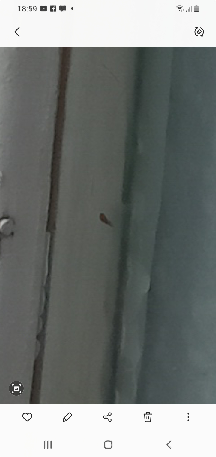 Під час обстрілу серйозно постраждав будинок родини з села Битиця