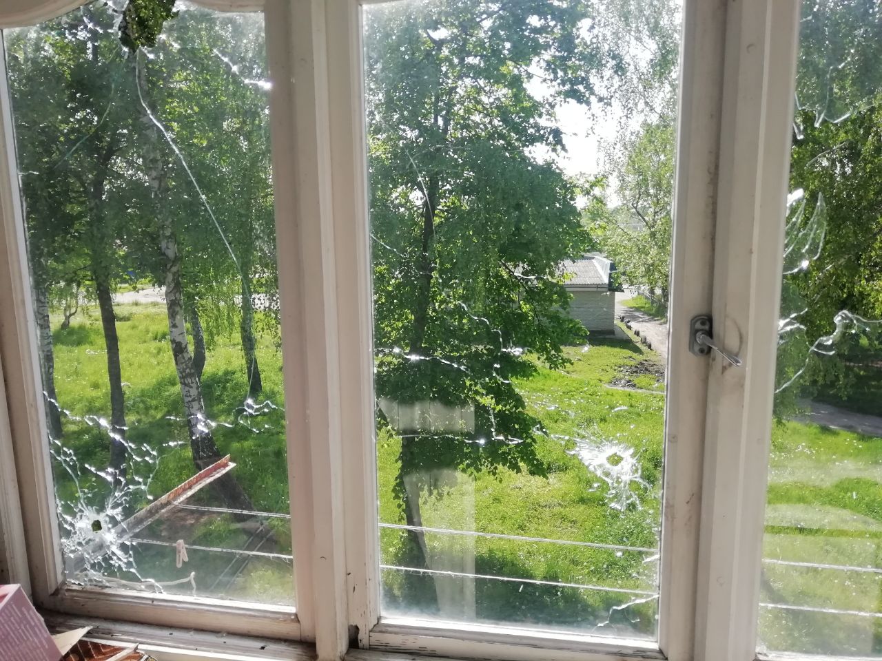 Жінці, яка доглядає за матір'ю-інвалідом, потрібна допомога по заміні вікон, дверей та даху