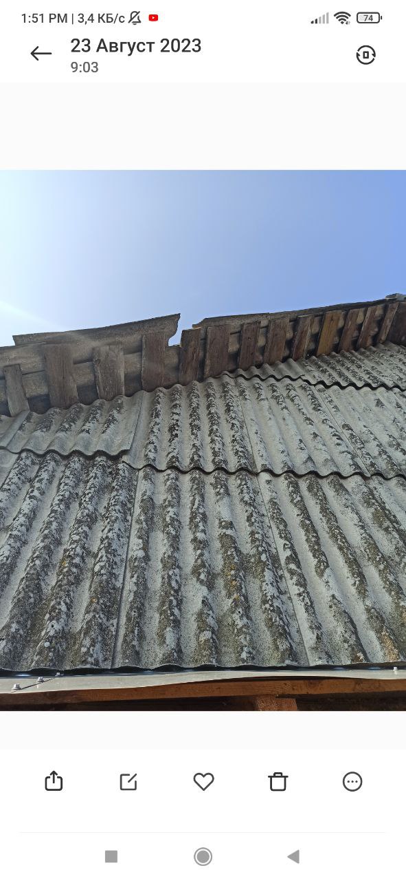 Сім'я з села Чернацьке потребує допомоги по заміні п'яти листів шиферу на даху та вхідних дверях