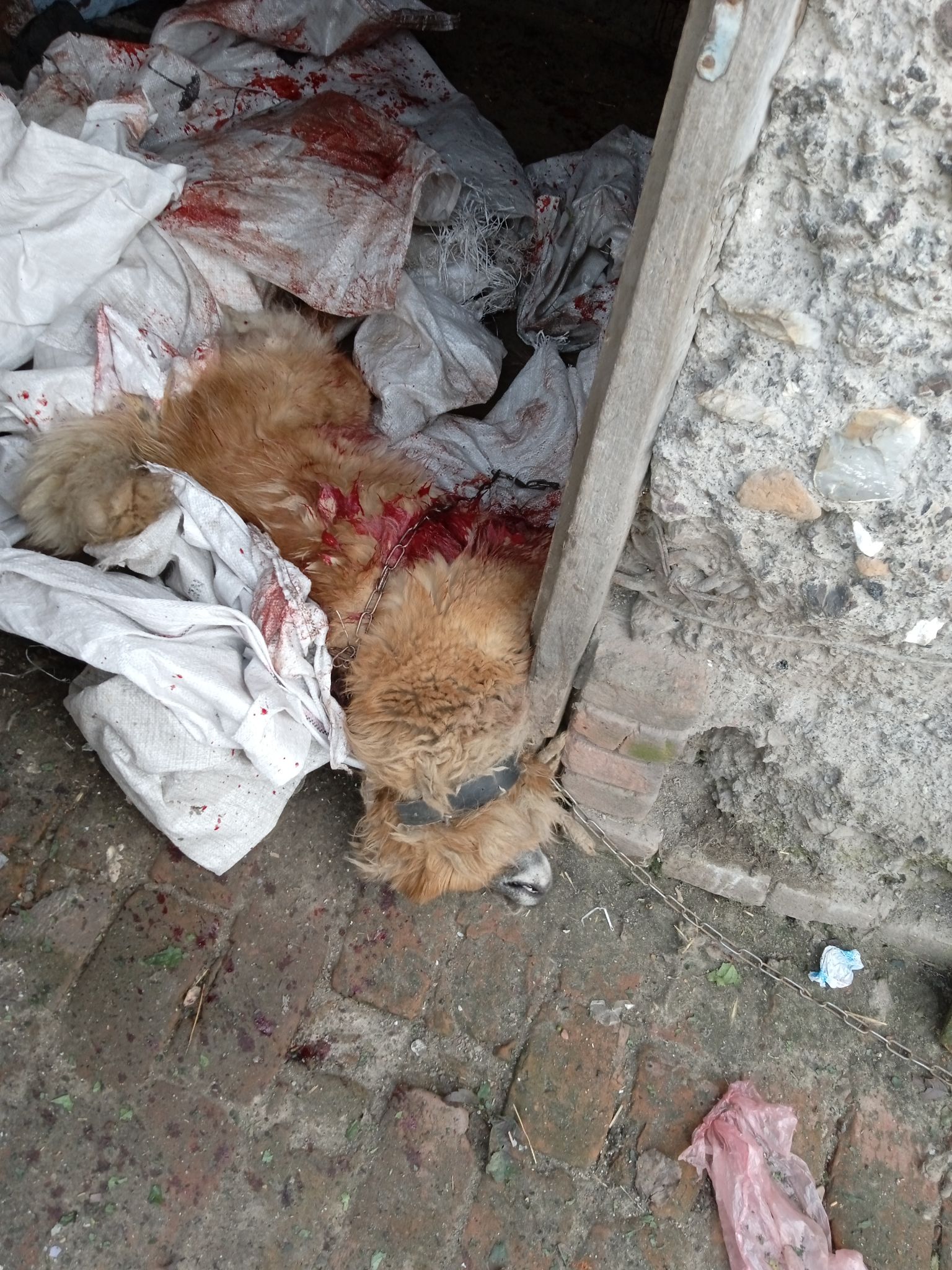 Домогосподарство родини у Миропільський ОТГ потрапило під обстріл ворожої техніки. Є пошкодження