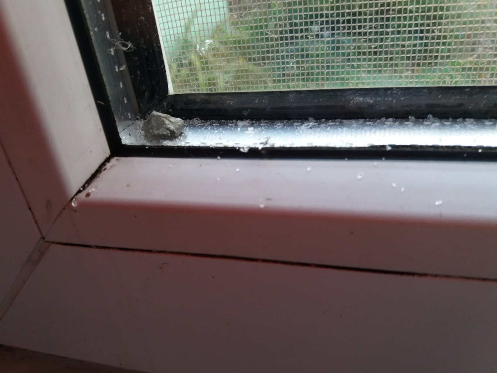 В будинку пенсіонерки з СМТ Зноб - Новгородське внаслідок обстрілу пошкоджено вікно та дах.