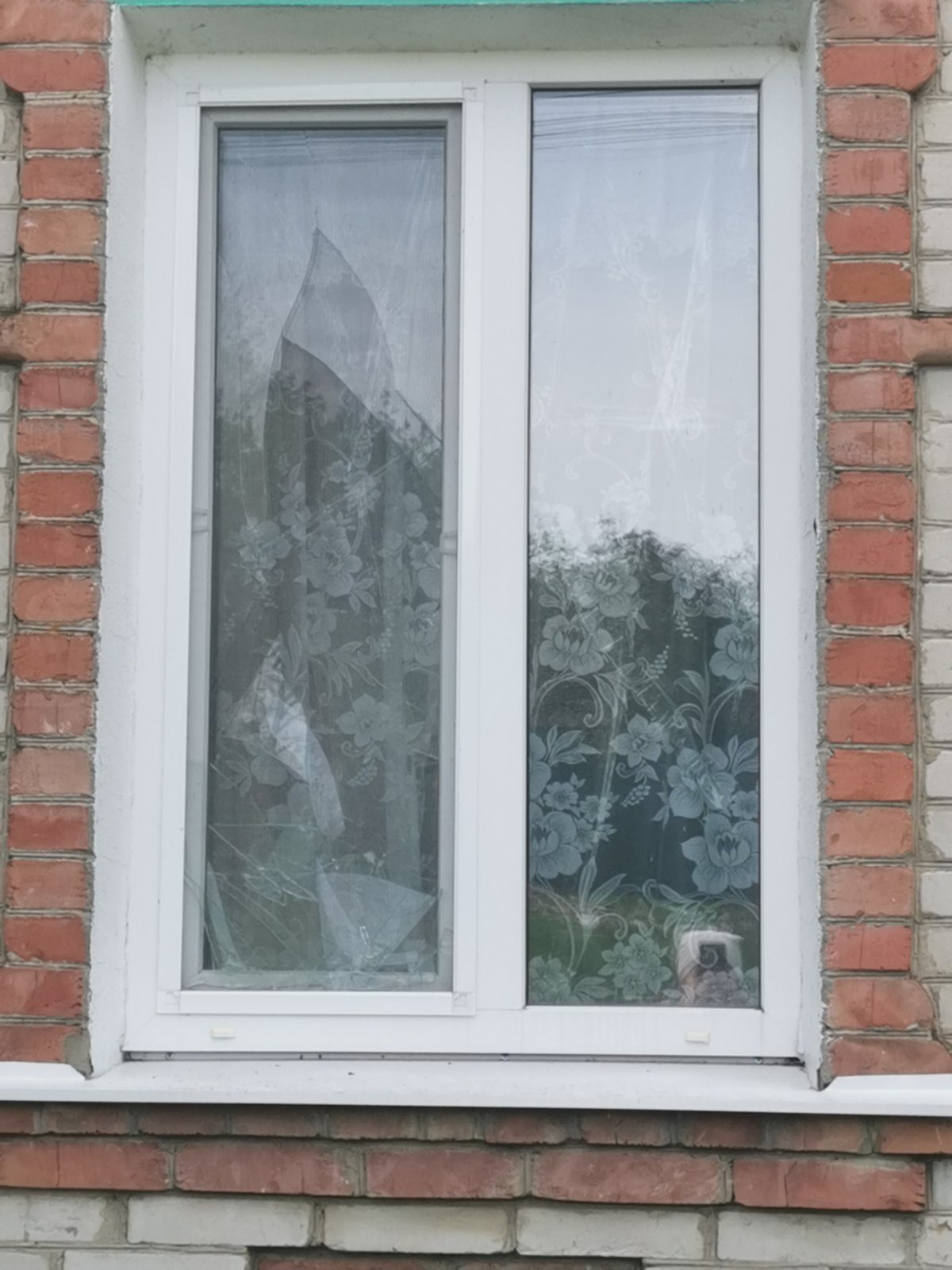 Літня жінка з села Басівка Сумської області потребує допомоги. 