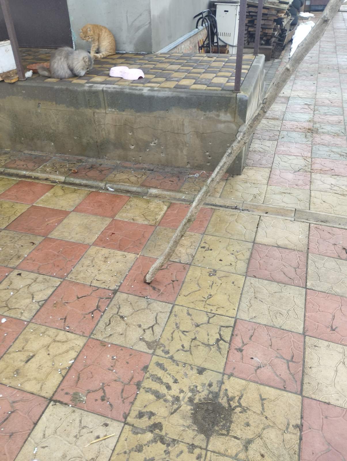 Пошкоджено будинок сім'ї,в якій двоє людей мають інвалідність - родині з Середина-Буди потрібна допомога