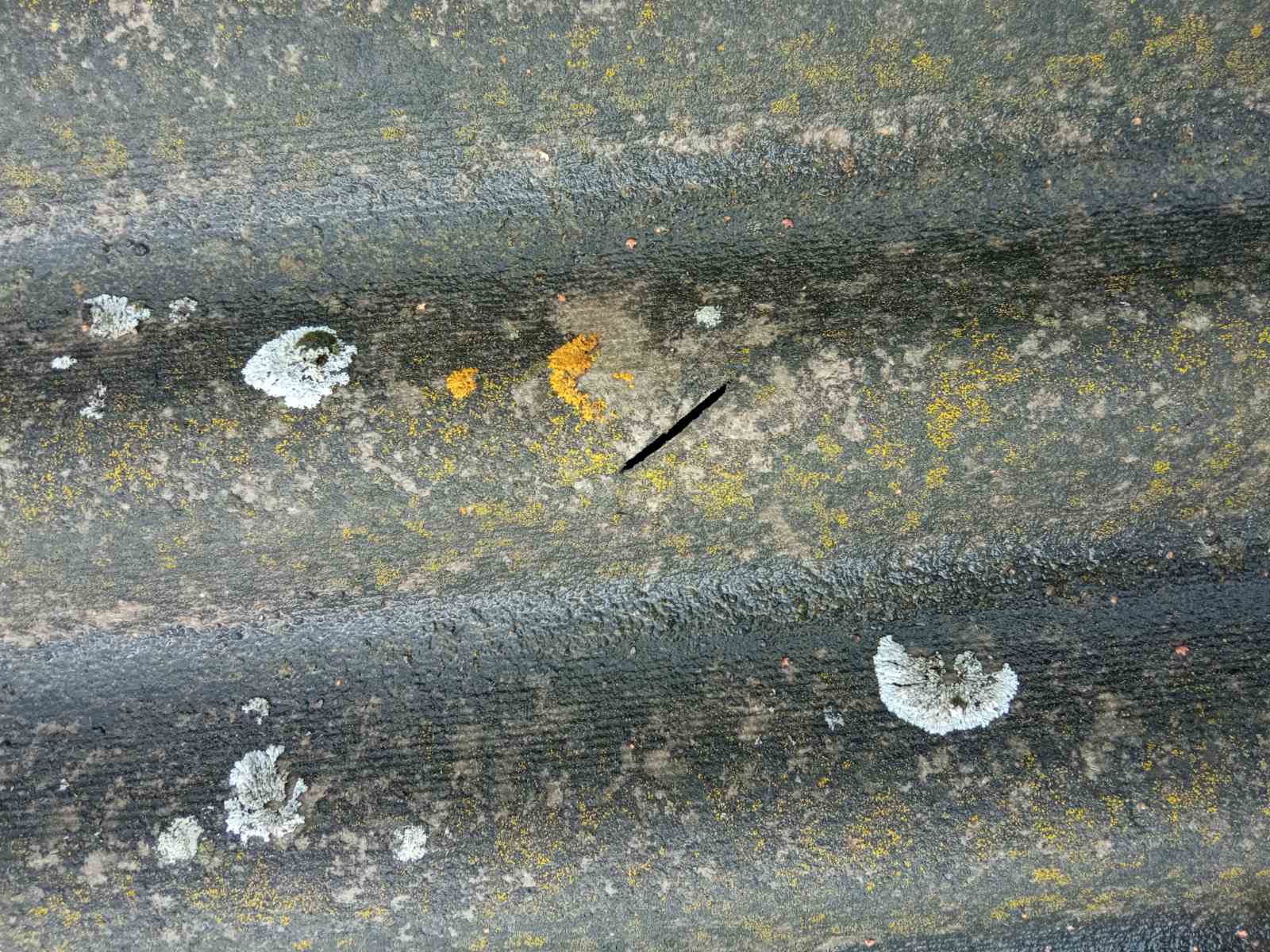 Посічений дах та вибите вікно – наслідки обстрілу у Середино-Буді Сумської області 