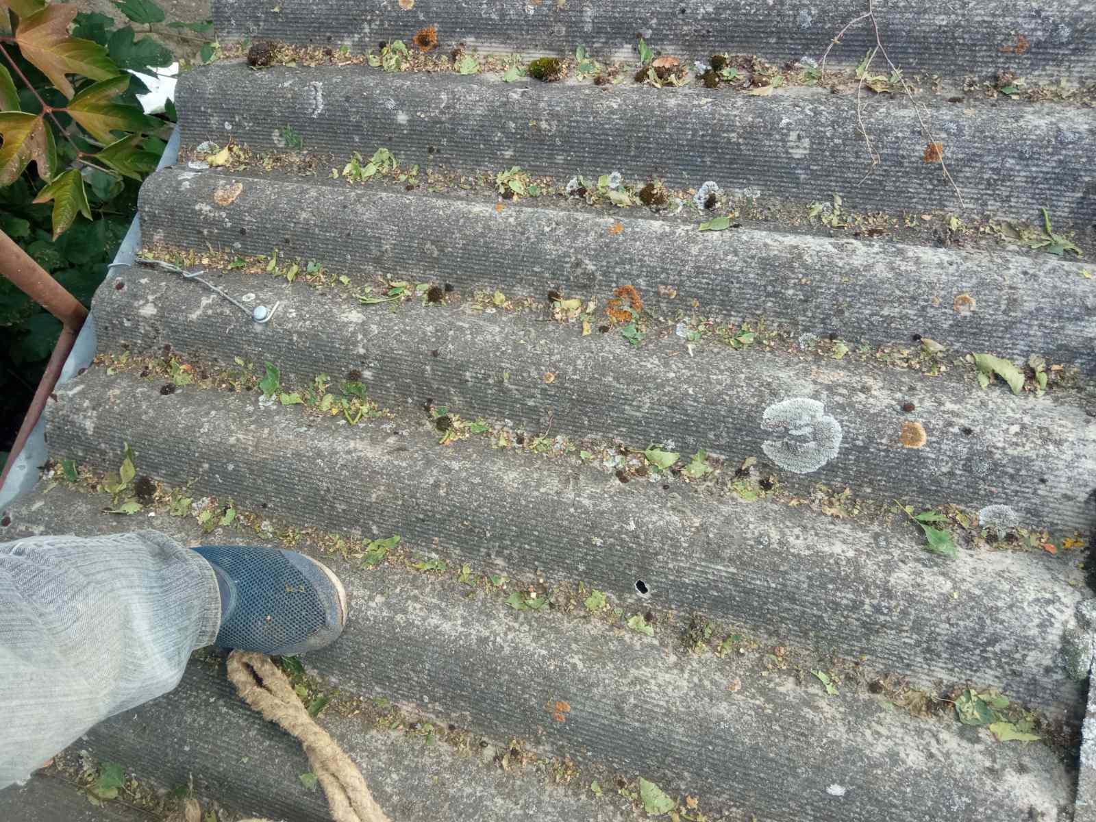 Посічений дах та вибите вікно – наслідки обстрілу у Середино-Буді Сумської області 