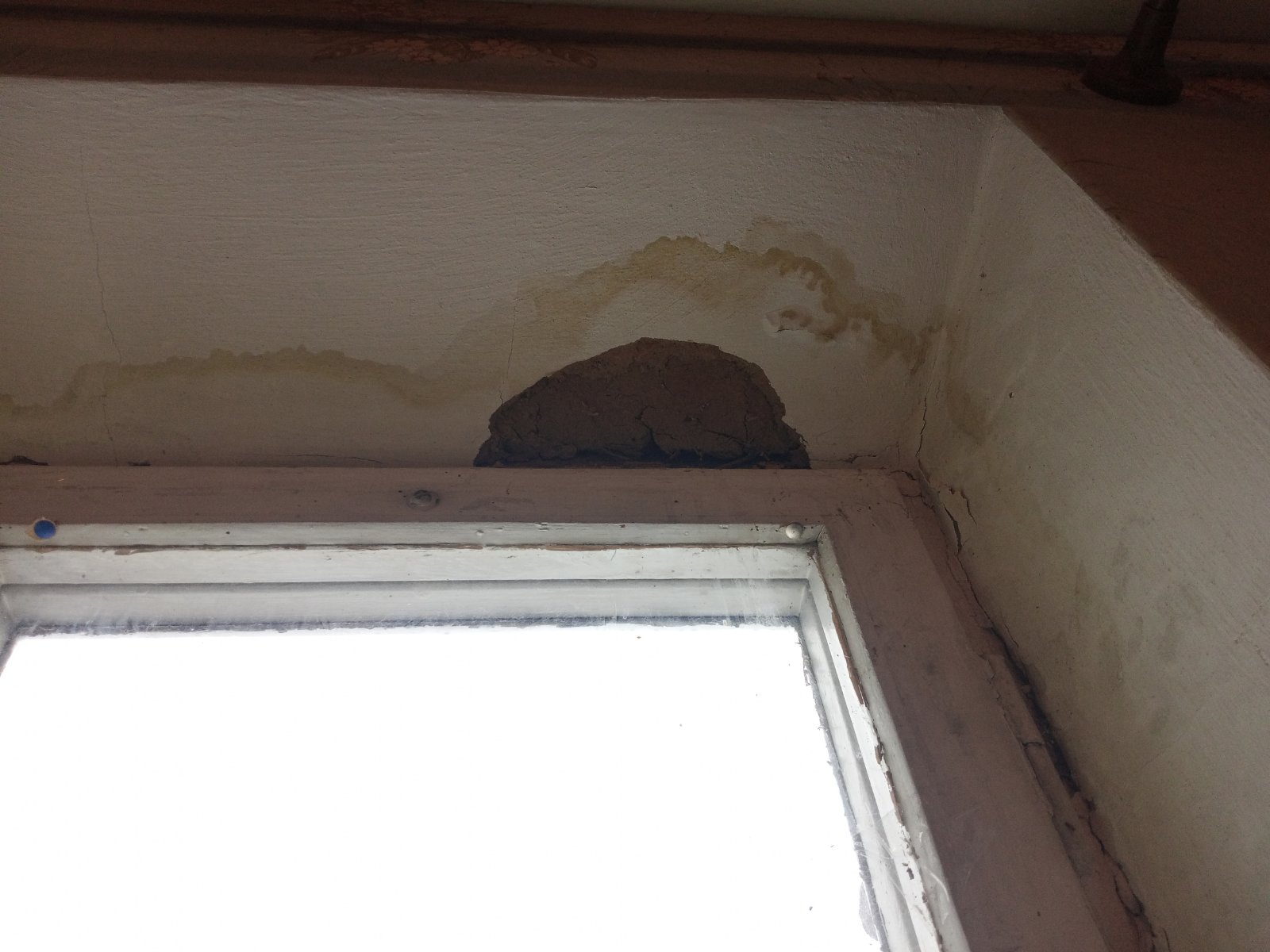 Родині літніх людей з Краматорська потрібна допомога у відновленні будинку 