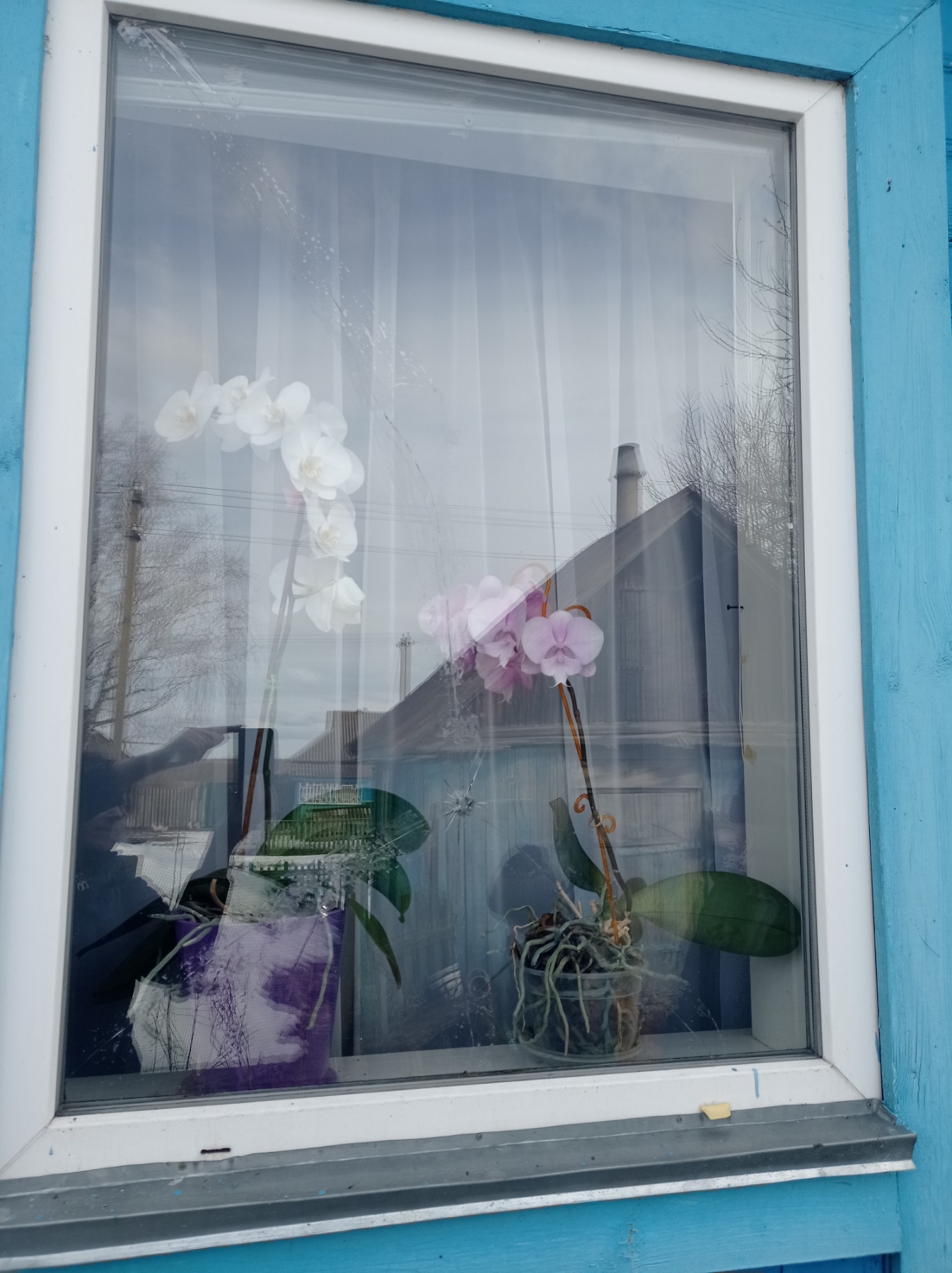 Будинок сім'ї з Середина-Буди двічі потрапив під обстріл - люди потребують допомоги