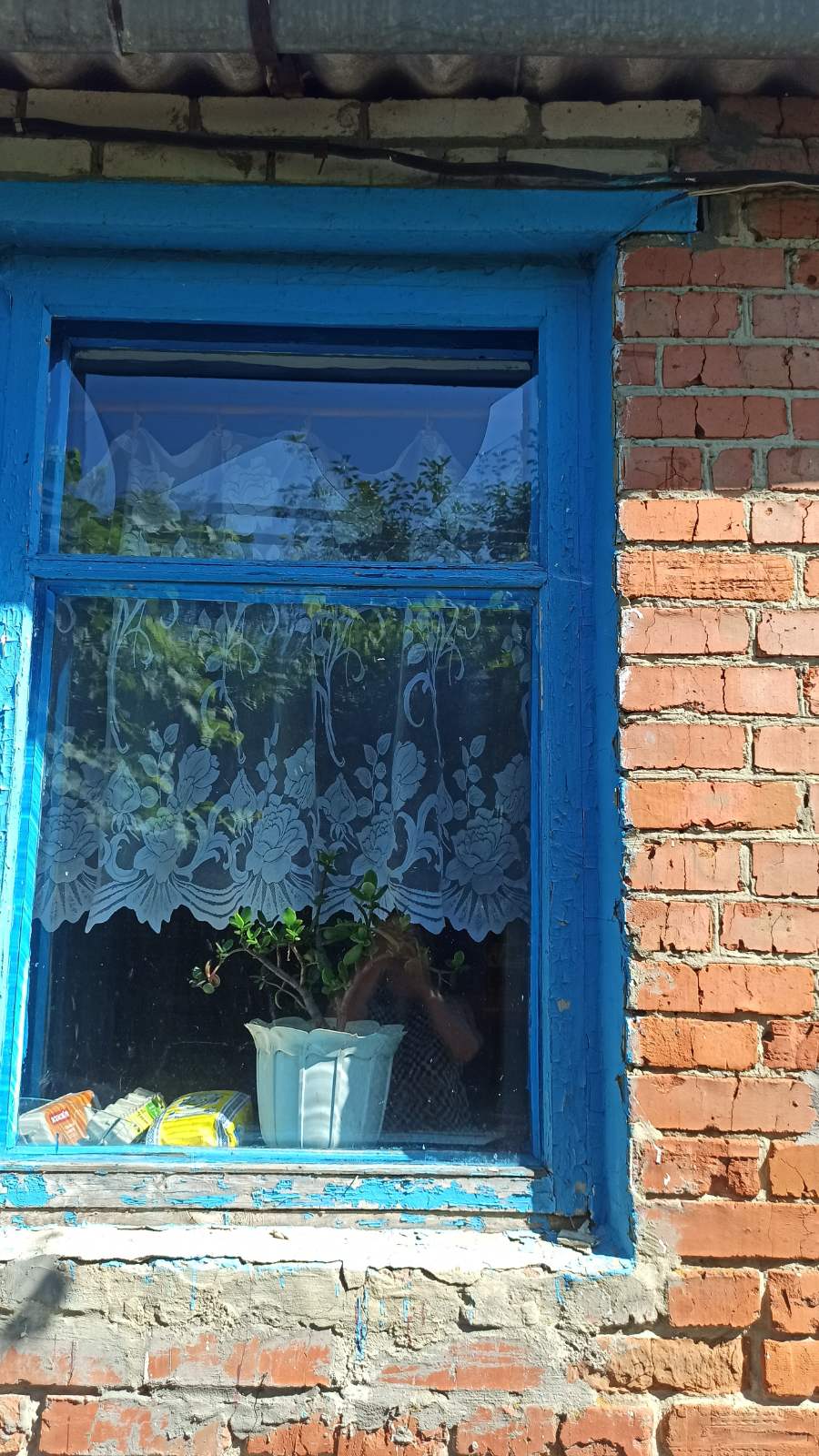 Пенсіонерку із Сумщини було поранено під час обстрілу її будинку