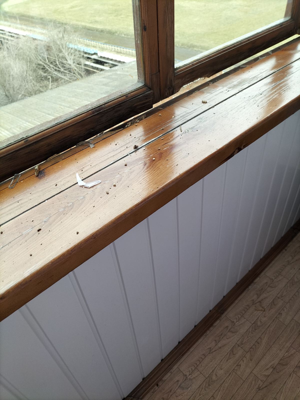 Мати з донькою-підлітком мешкають в Білопіллі в орендованій квартирі без вікна