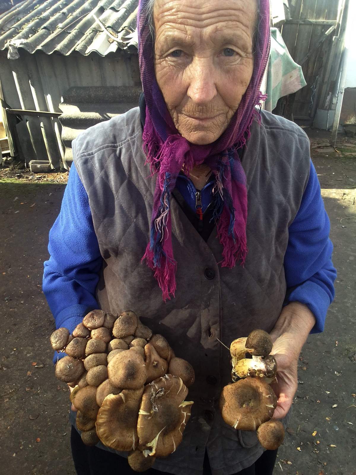 Пенсіонерку із Сумщини було поранено під час обстрілу її будинку