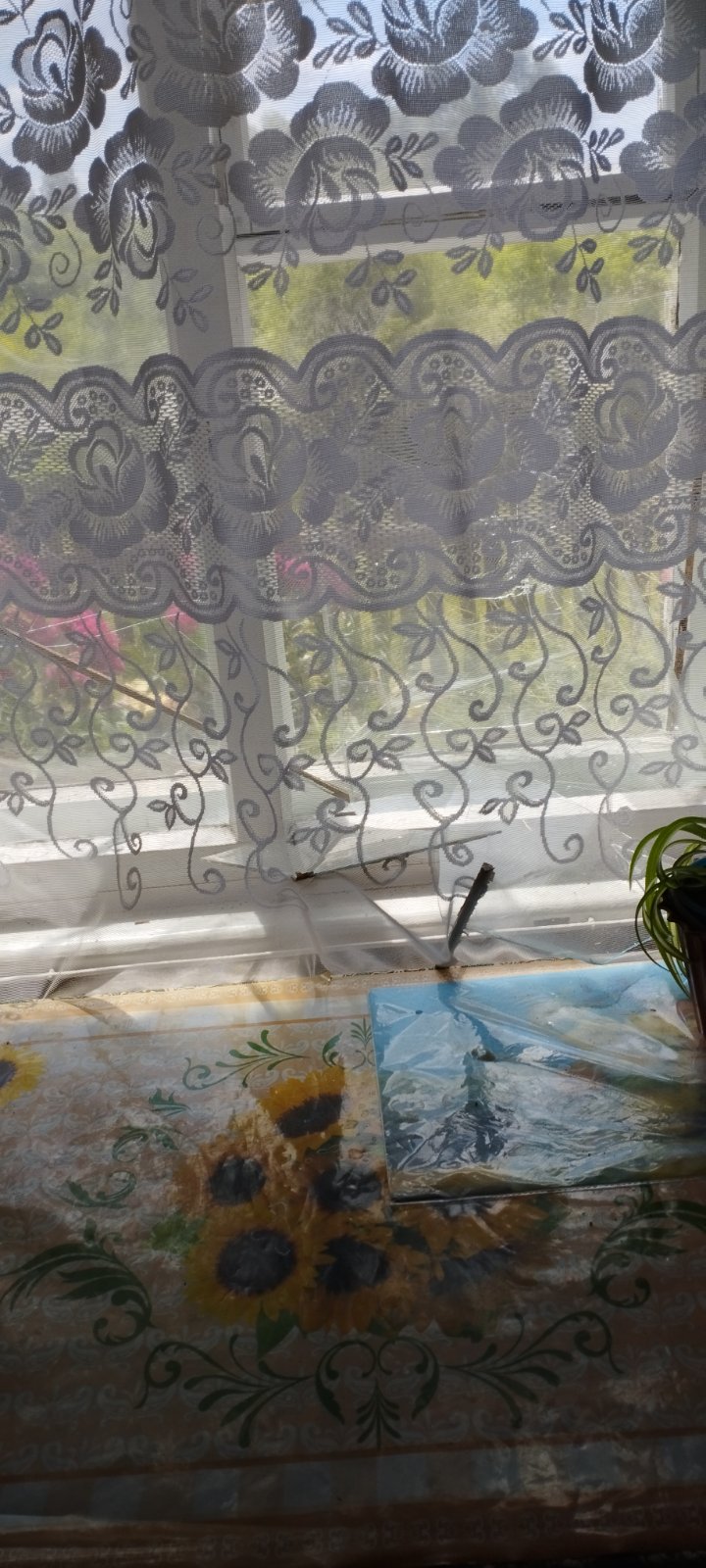 Будинок пенсіонерки з Сумщини потерпав від обстрілів 3 рази