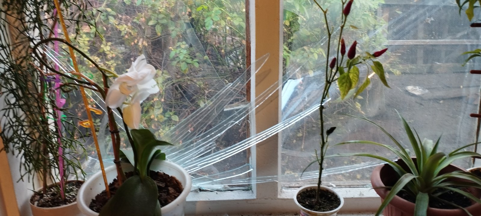 Будинок пенсіонерки з Сумщини потерпав від обстрілів 3 рази