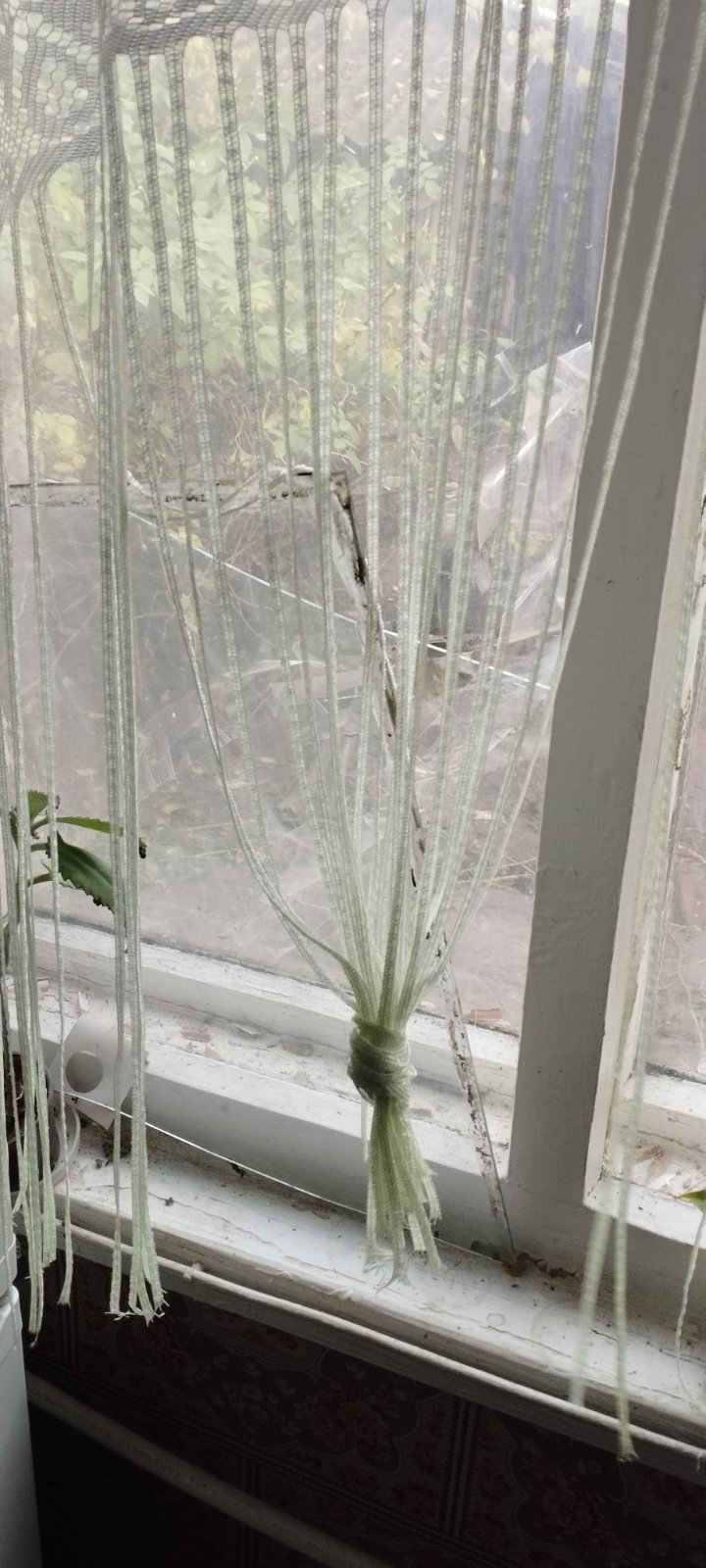 Будинок пенсіонерки з Сумщини потерпав від обстрілів 3 рази