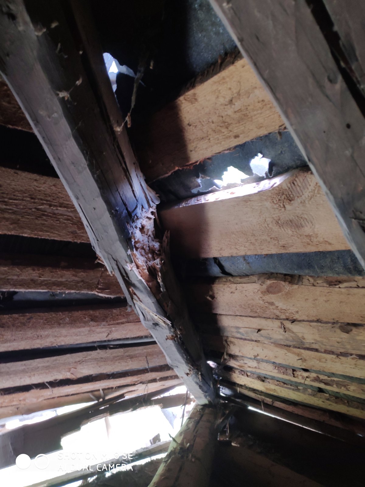 Родина, яка мешкає за 4 кілометри від ворога, просить допомоги