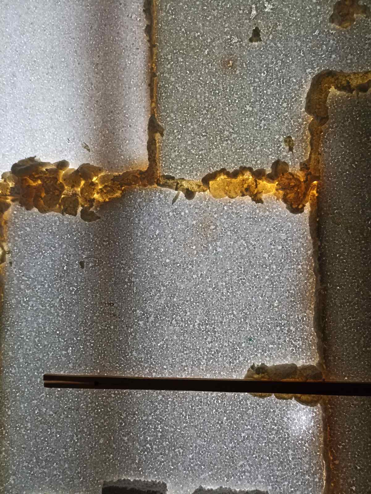 Пенсіонерка з Сумщини потребує допомоги - від обстрілу жінка залишилася без вікон