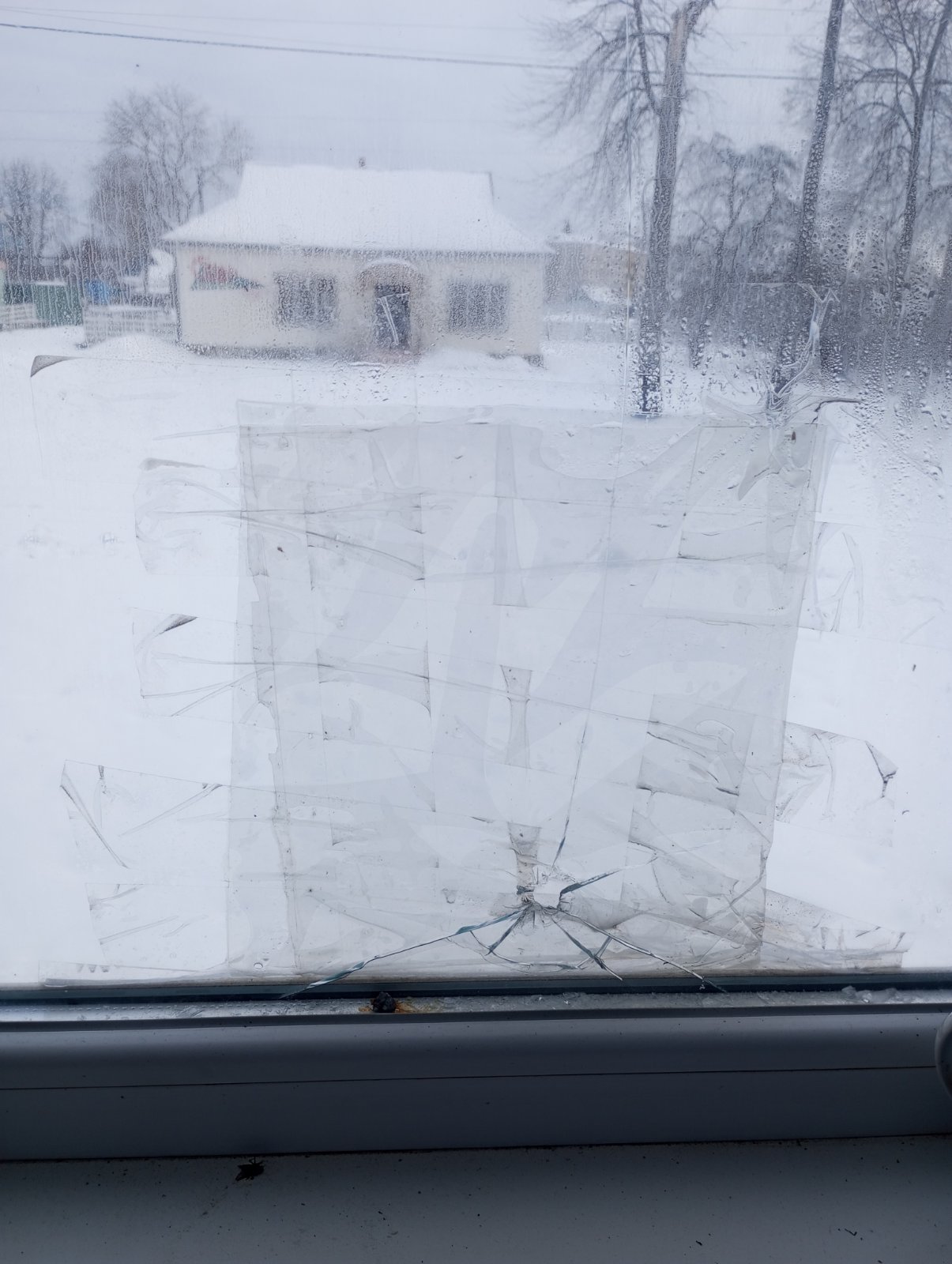 Пенсіонерка, яка мешкає сама на прикордонні Сумщини, просить допомоги